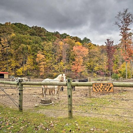 Bill Pickett Apt On 50-Acre Ranch - 1 Mi To Lake Huntingdon Exterior foto