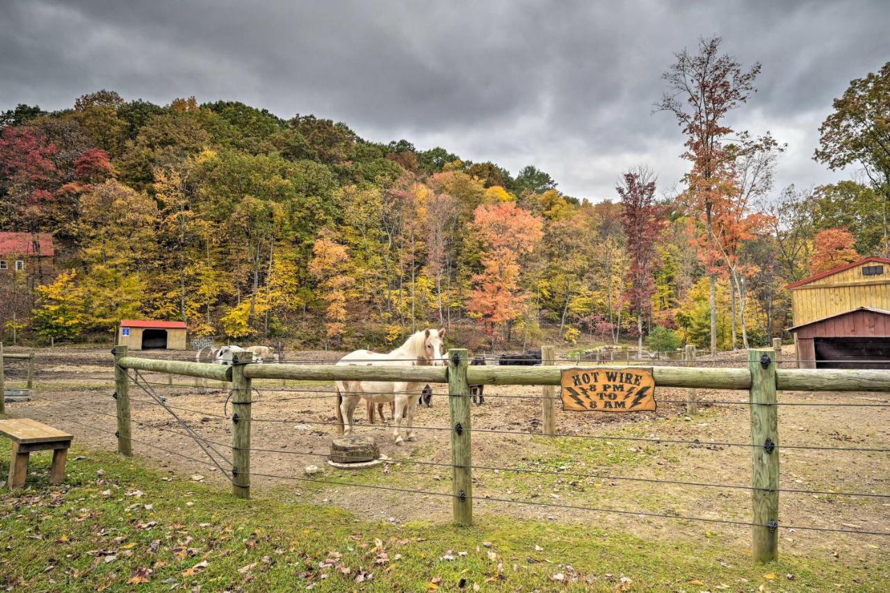 Bill Pickett Apt On 50-Acre Ranch - 1 Mi To Lake Huntingdon Exterior foto