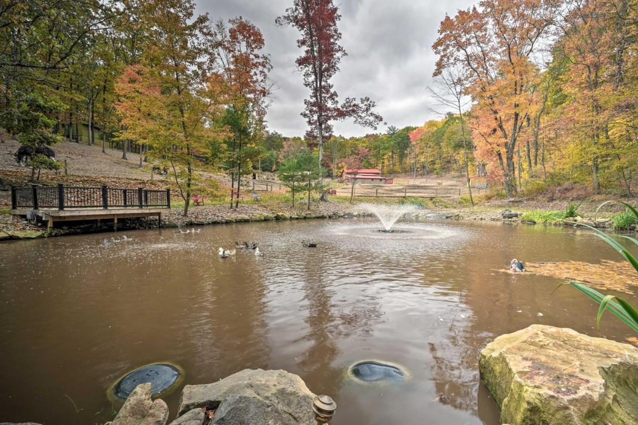 Bill Pickett Apt On 50-Acre Ranch - 1 Mi To Lake Huntingdon Exterior foto