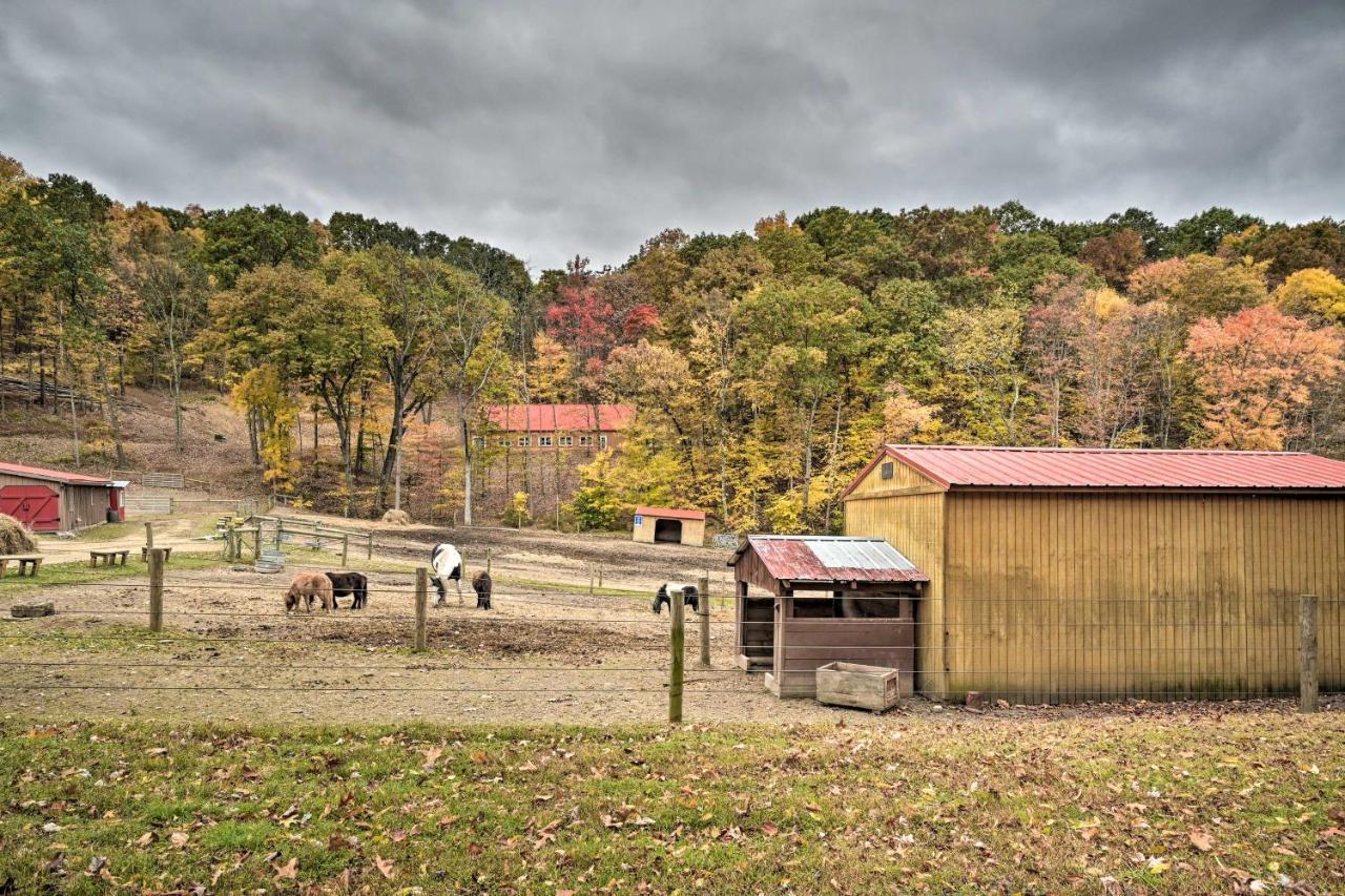 Bill Pickett Apt On 50-Acre Ranch - 1 Mi To Lake Huntingdon Exterior foto