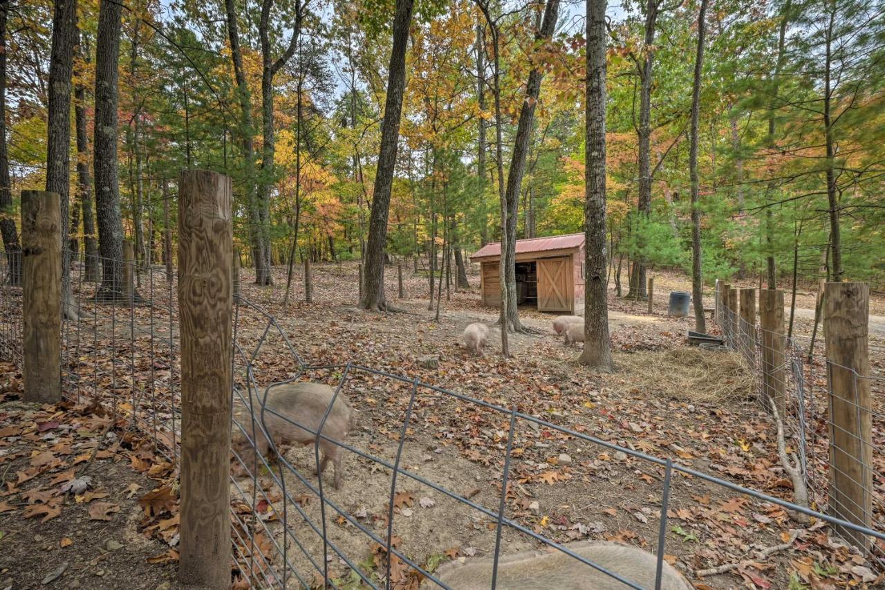 Bill Pickett Apt On 50-Acre Ranch - 1 Mi To Lake Huntingdon Exterior foto